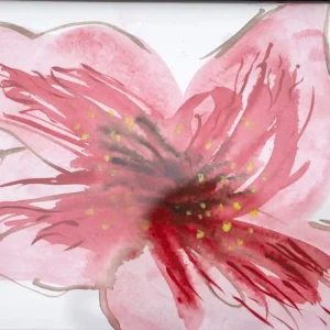 Sakura Dream