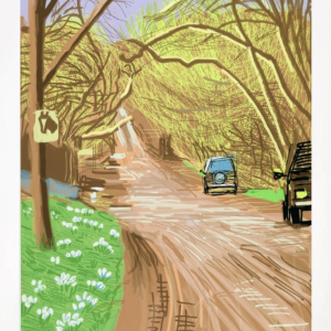 The Arrival of Spring in Woldgate, East Yorkshire in 2011 (twenty eleven)- 5 March