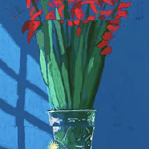 27th July 2021, Some Gladioli